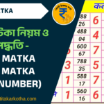 সাট্টা মাটকা (satta matka) খেলার নিয়ম, সংখ্যা গণনার কৌশল এবং বৈধতা সম্পর্কে জানুন। এখানে পড়ুন সম্পূর্ণ তথ্য!